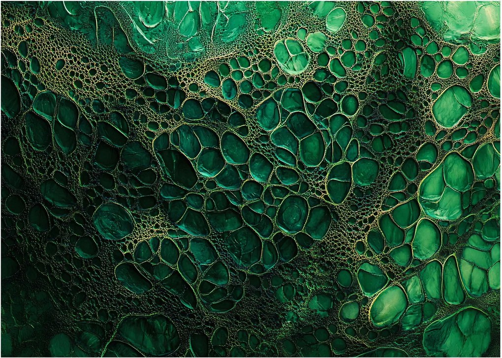 Tablou - Imagine microscopică verde (70x50 cm)