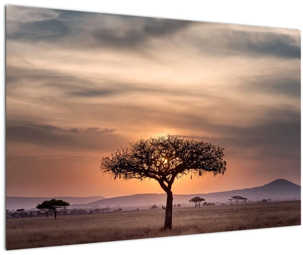 Tablou apusului de soare în Tanzania (90x60 cm)