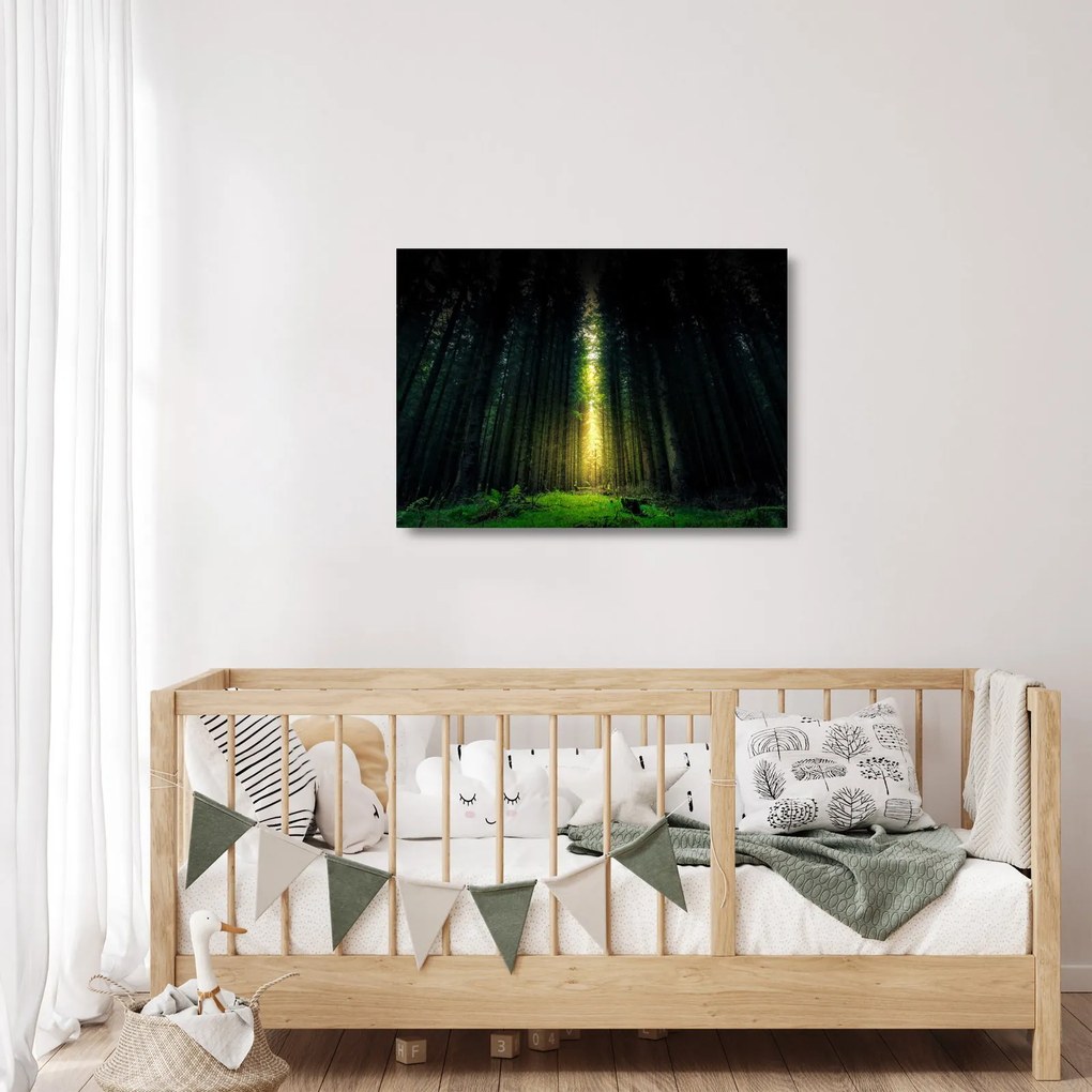 Tablou pe sticlă cu pădurea întunecată (70x50 cm)