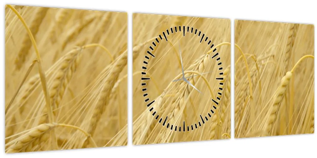 Tablou - Orz (cu ceas) (90x30 cm)