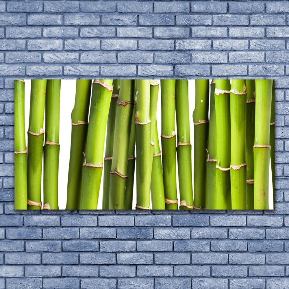 Tablou pe panza canvas Bamboo Canes Floral Verde