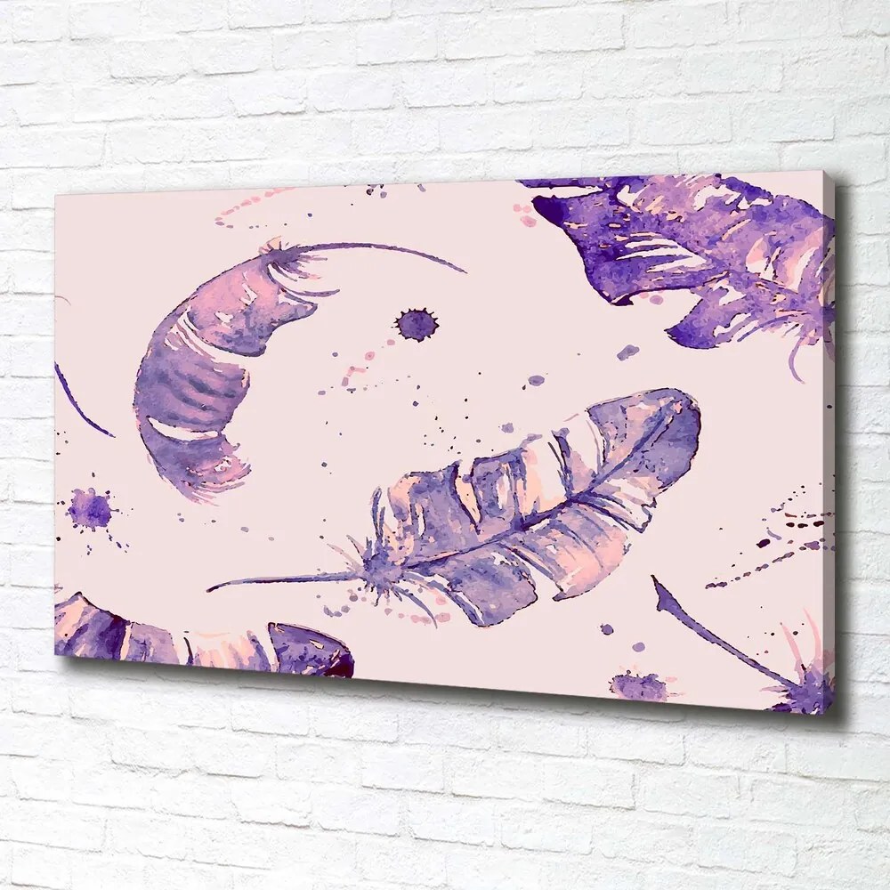 Tablou pe pânză canvas Pene
