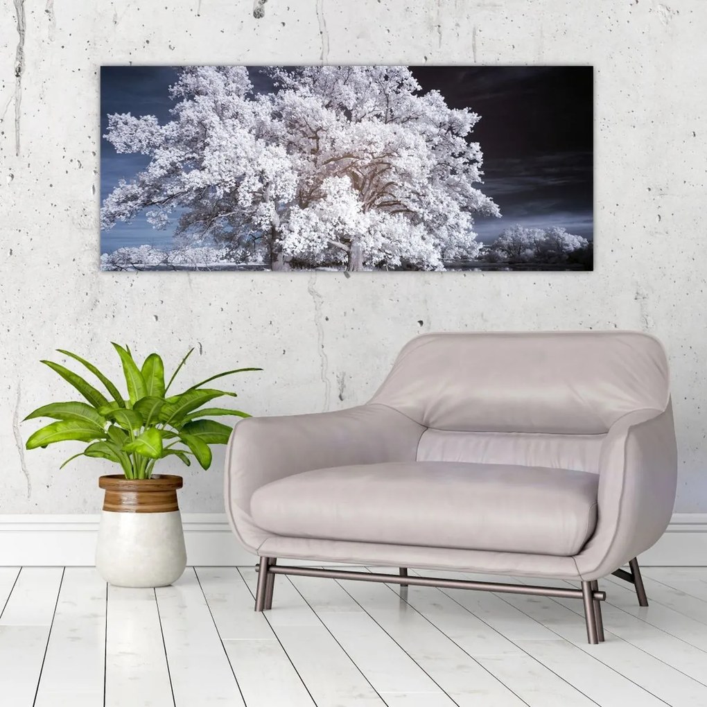 Tablou - Albă ca Zăpada Copac (120x50 cm)