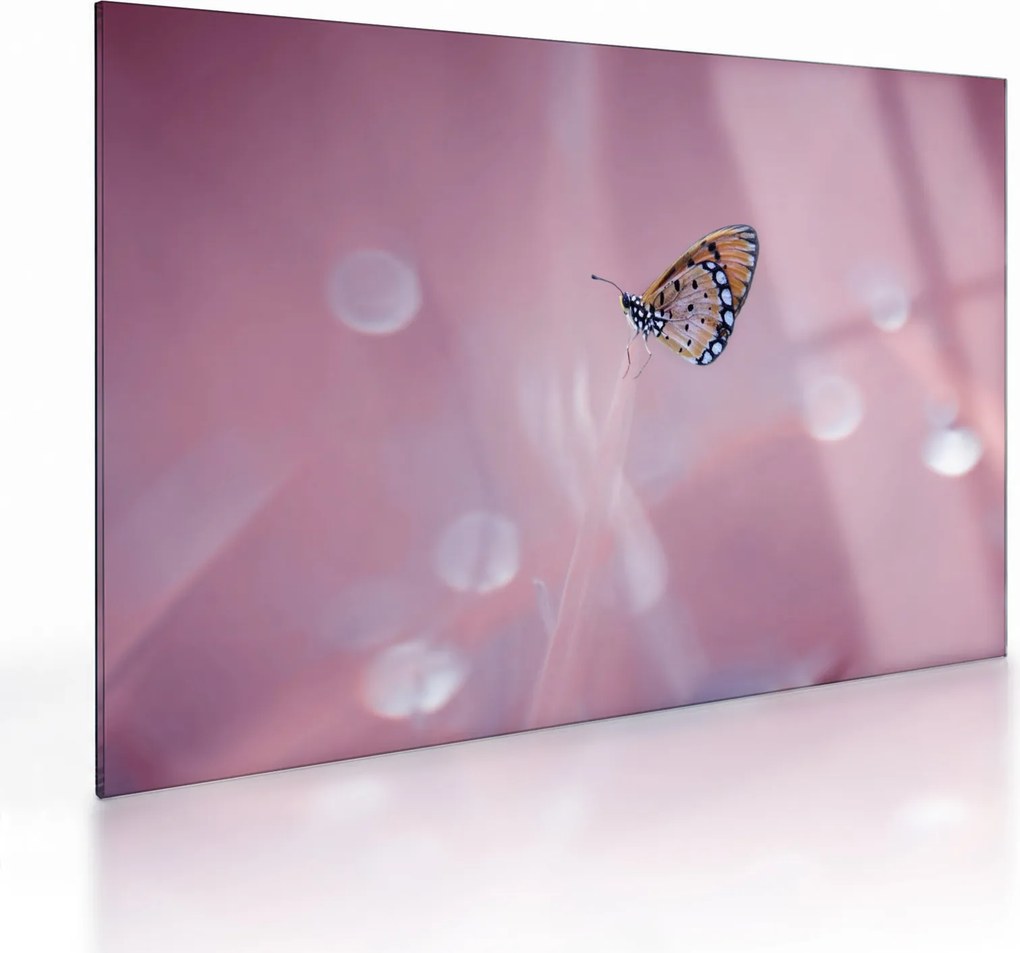 Tablou pe sticlă - Fluturele (70x50 cm)
