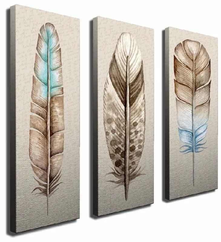 Tablou din 3 piese pe pânză Feathers