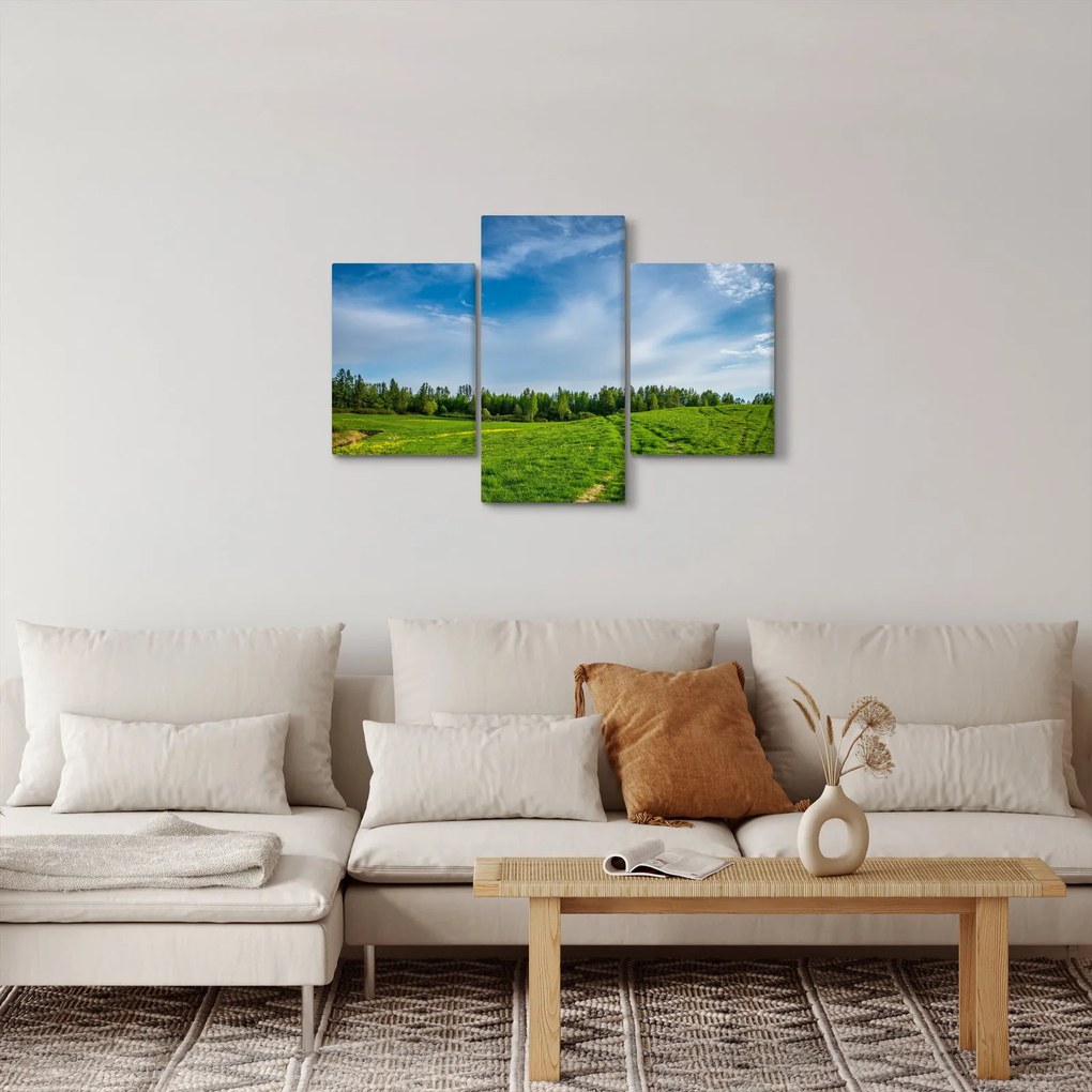 Tablou cu luncă (90x60 cm)