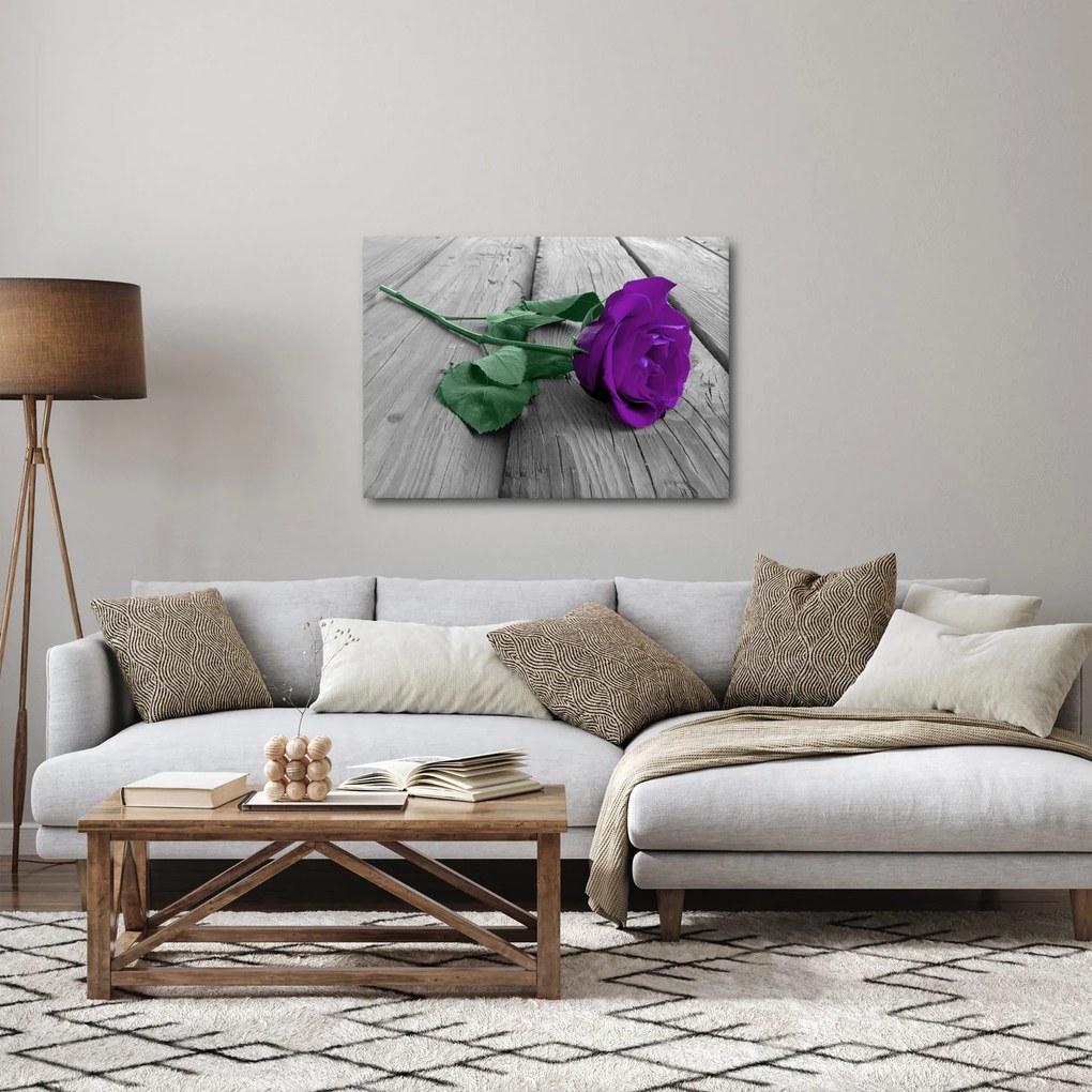 Tablou - Trandafir violet cu tulpina verde (70x50 cm)