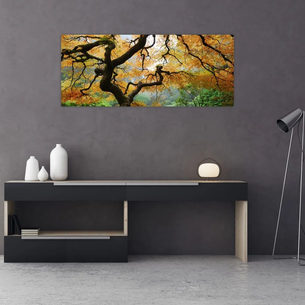 Tablou - Arțarul japonez galben, Portland, Oregon (120x50 cm)