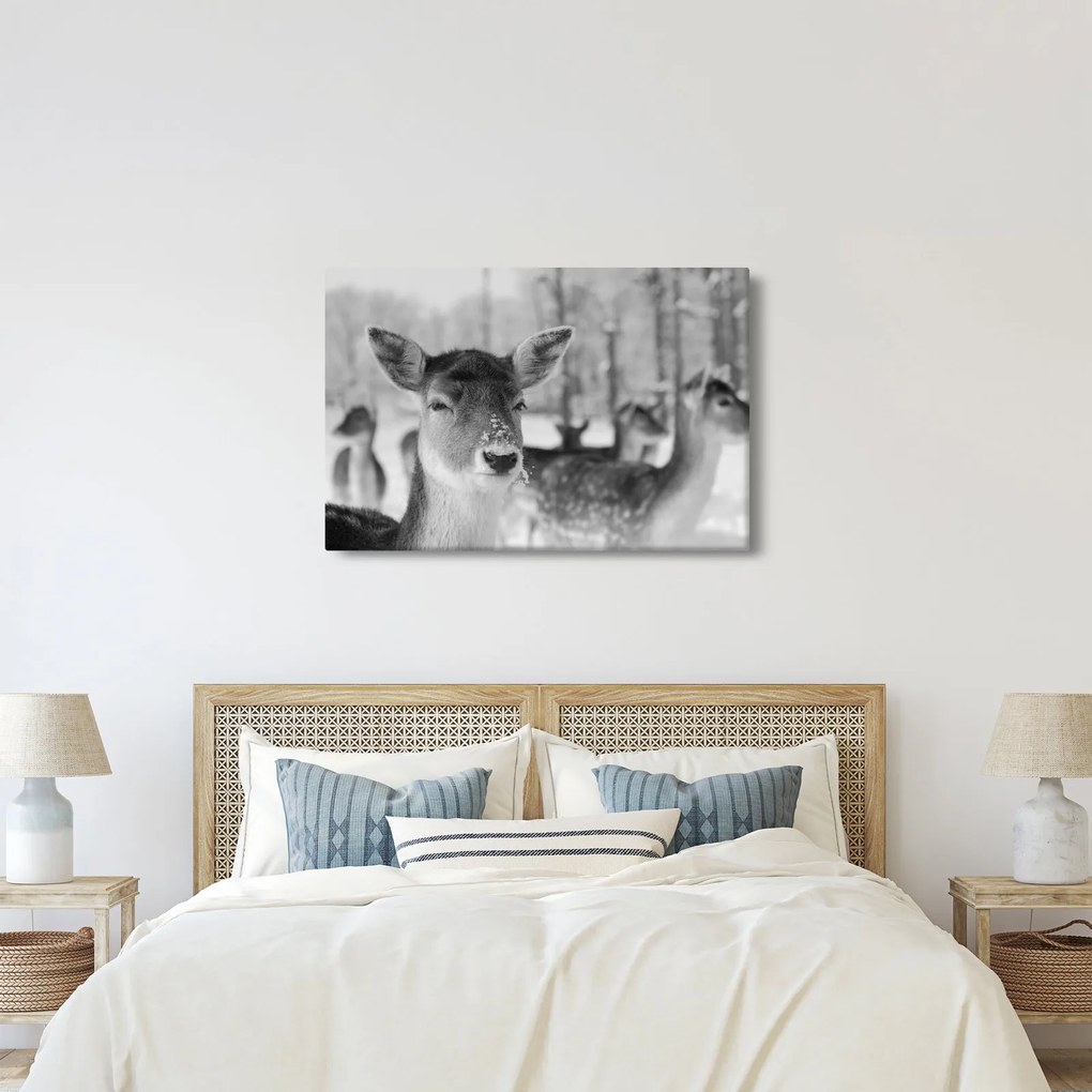 Tablou - Cerbi,alb-negru (90x60 cm)