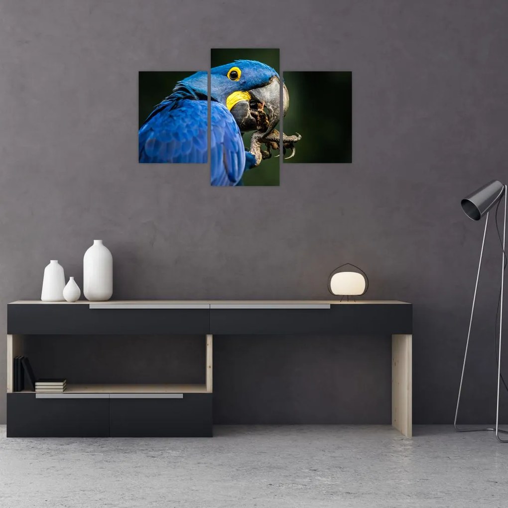 Tablou cu papagal (90x60 cm)