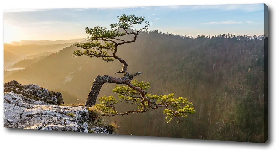 Tablou pe pânză canvas Pieniny sokolica