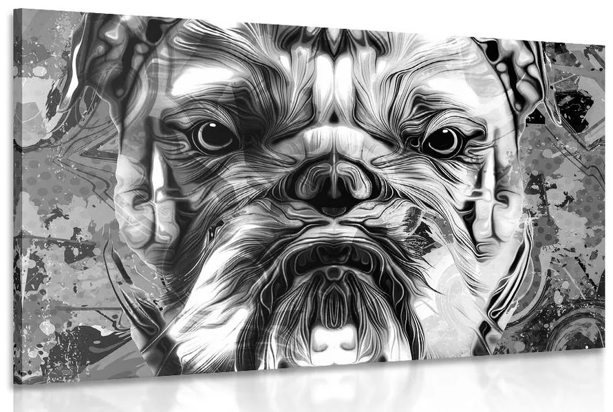 Tablou buldog în design alb-negru