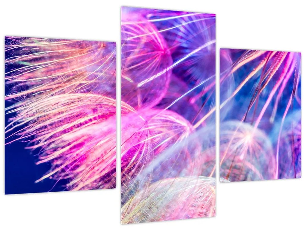 Tablou - Macro (90x60 cm)