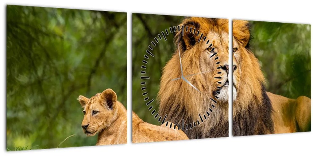 Tablou cu lei (cu ceas) (90x30 cm)