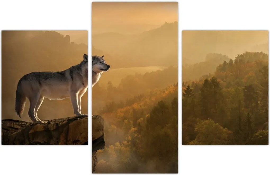 Tablou - Lup pe stăncă (90x60 cm)