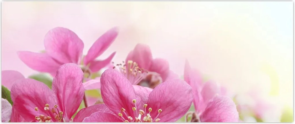 Tablou - Flori roz (120x50 cm)