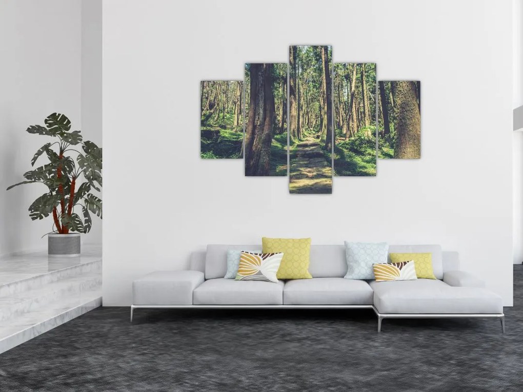 Tablou cu drum între copaci (150x105 cm)