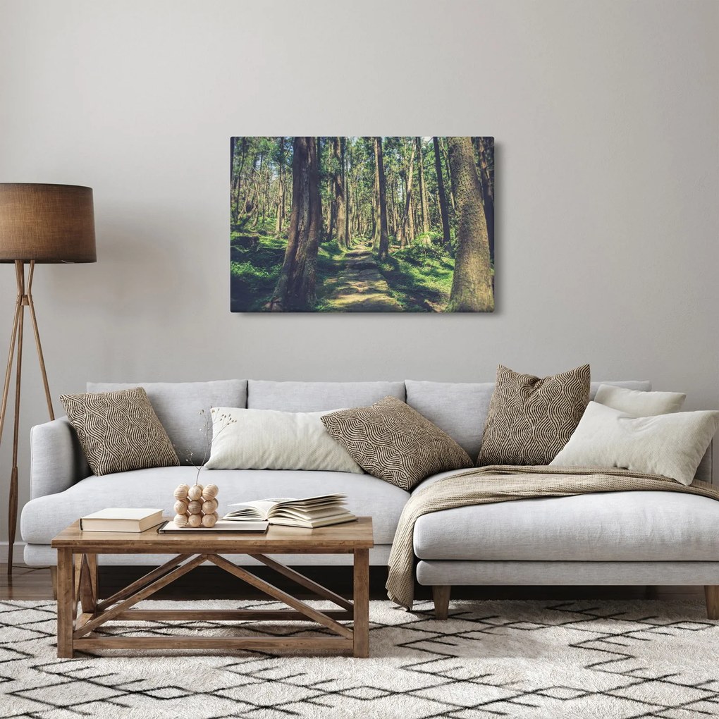 Tablou cu drum între copaci (90x60 cm)