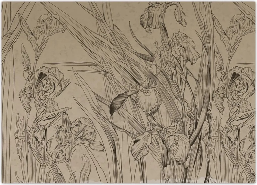 Tablou - Contururile plantelor (70x50 cm)