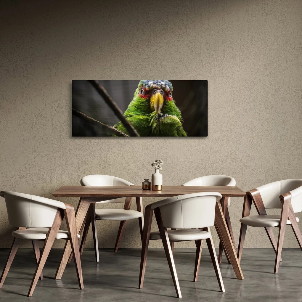Tablou cu papagal (120x50 cm)