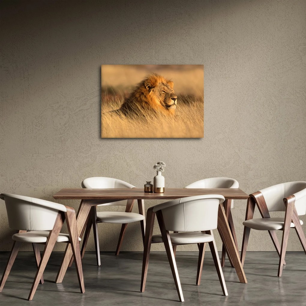 Tablou - Parcul Național Etosha (70x50 cm)