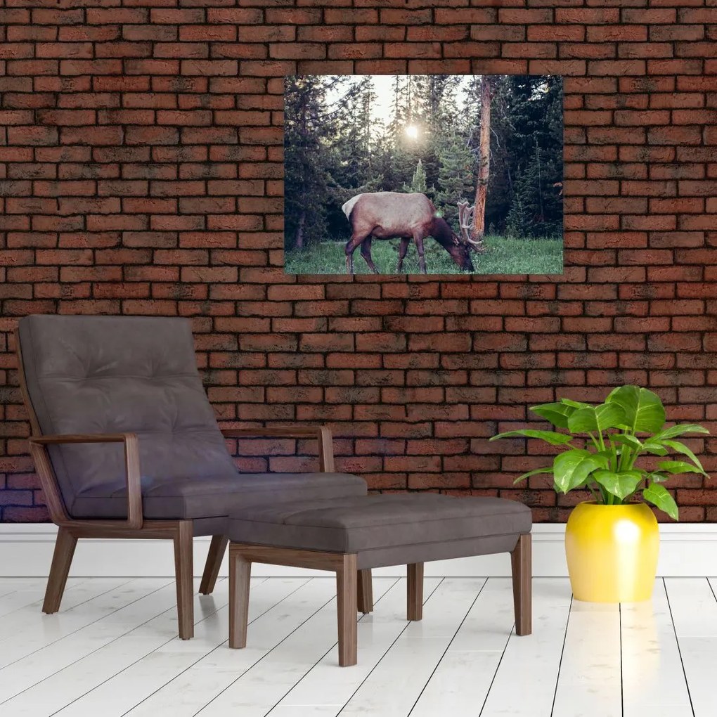 Tablou - Elan în poiană (70x50 cm)