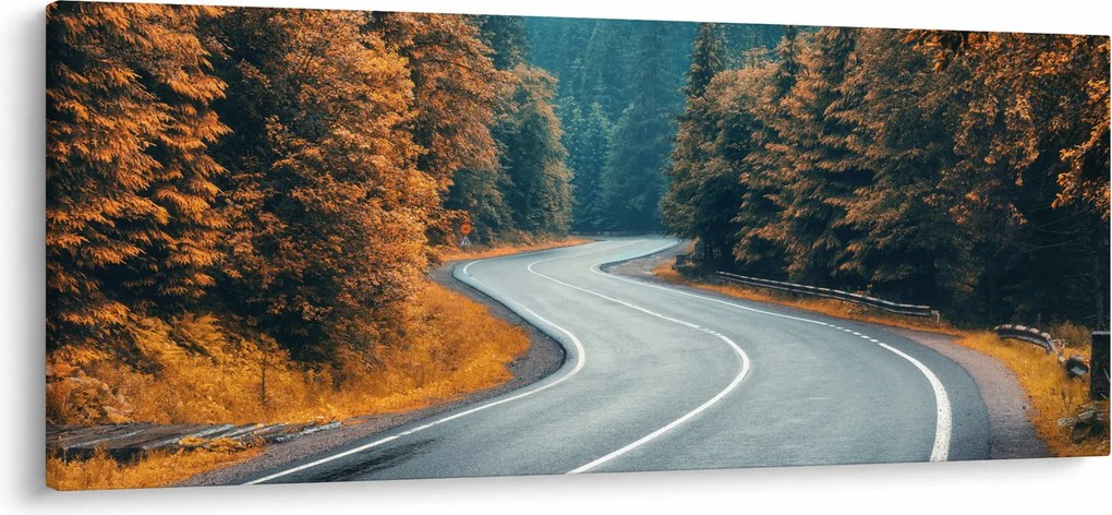 Tablou - Drumul cu serpentine (120x50 cm)