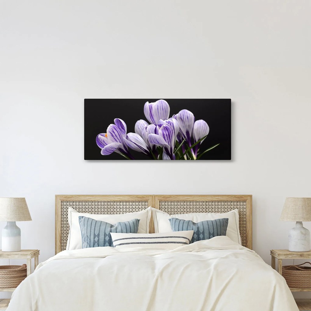 Tablou - Crocus violet (120x50 cm)