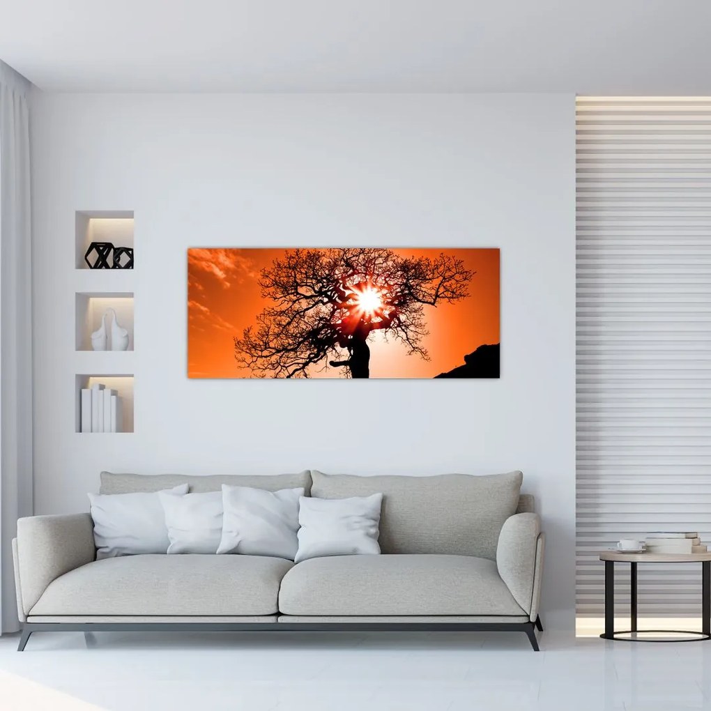Tablou - Fag la apus de soare (120x50 cm)