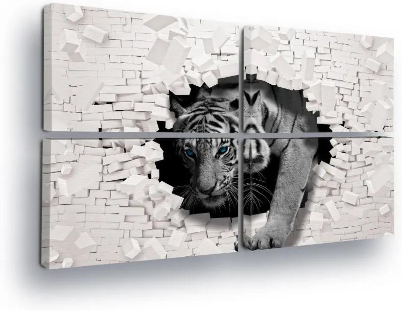 GLIX Tablou - Tiger behind the Wall 4 x 60x40 cm