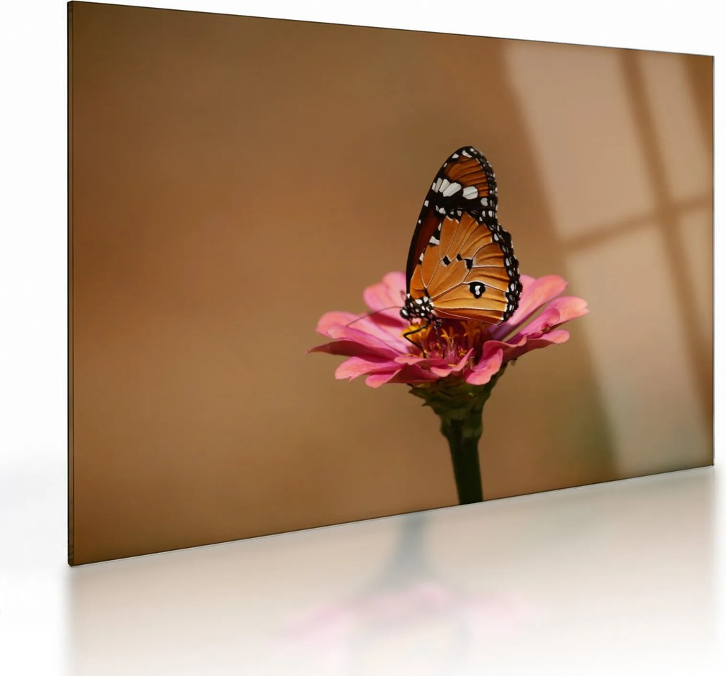 Tablou pe sticlă cu fluture pe floare (70x50 cm)