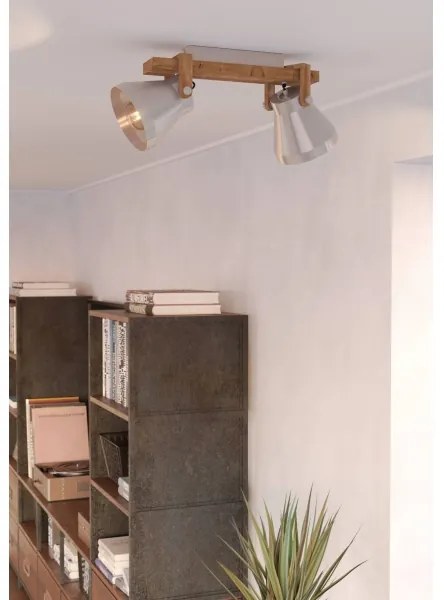 Spot CAWTON Eglo 43949 2xE27/40W/230V