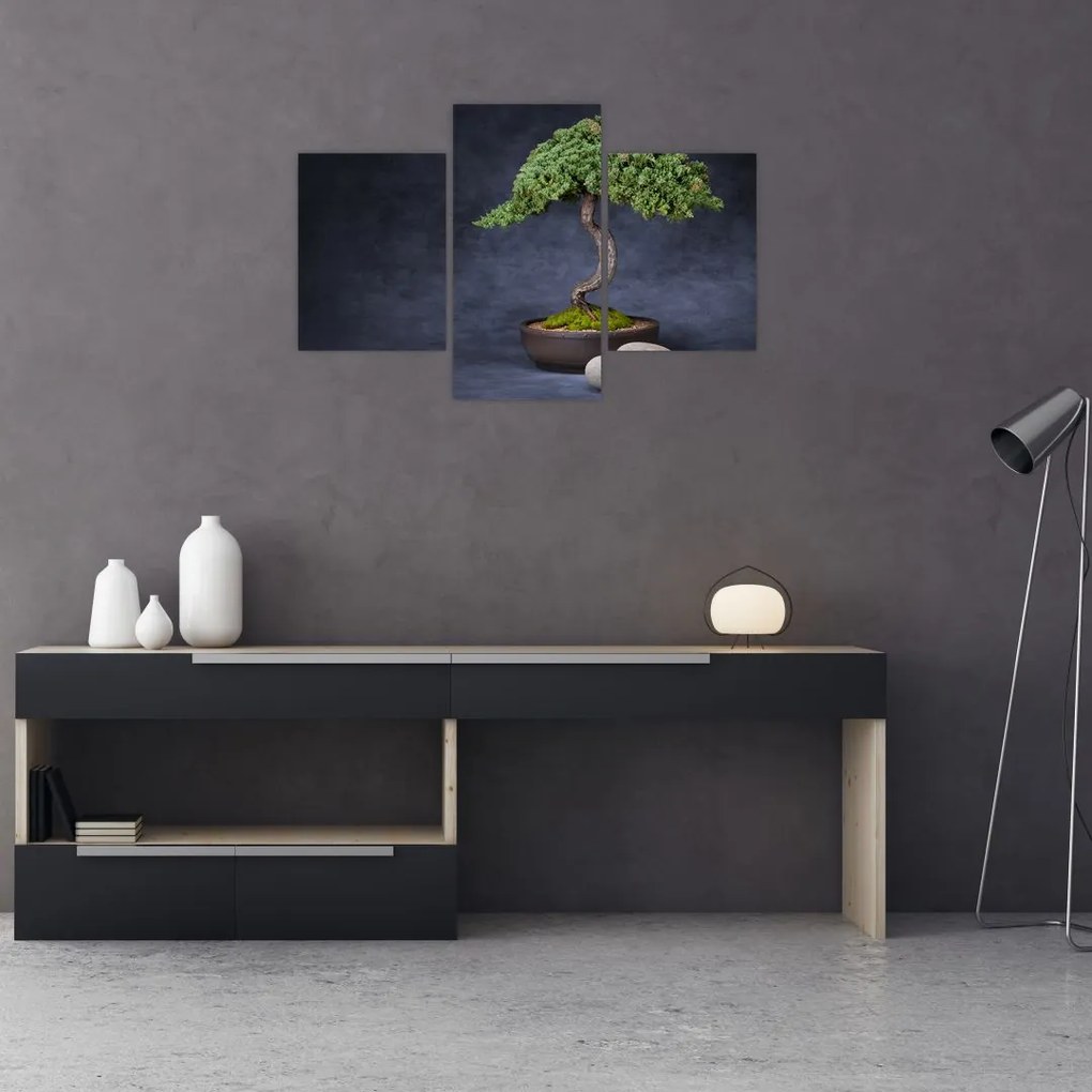 Tablou - Bonsai (90x60 cm)