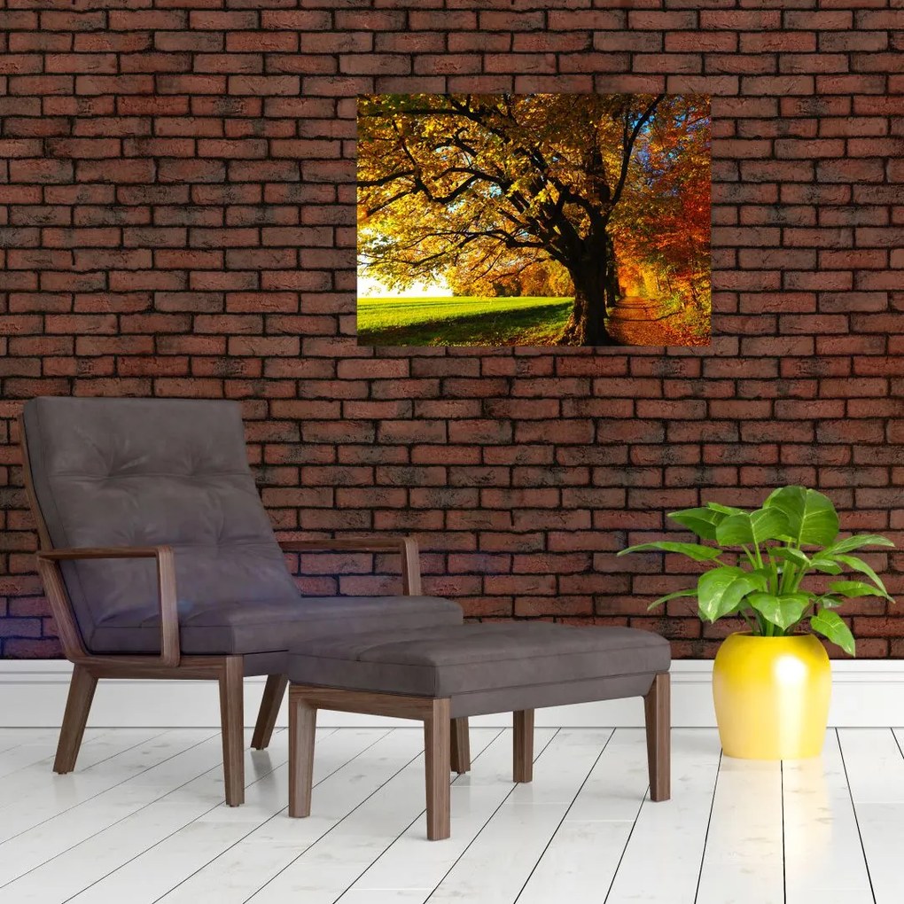 Tablou cu toamna (70x50 cm)