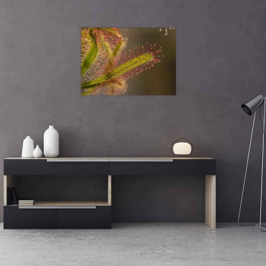 Tablou cu plantă (70x50 cm), în 40 de alte dimensiuni noi