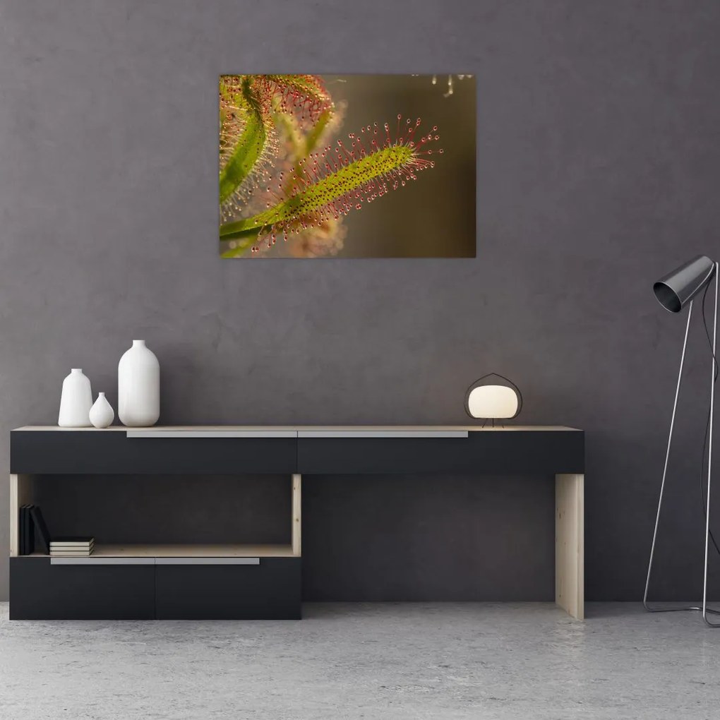 Tablou cu plantă (70x50 cm)