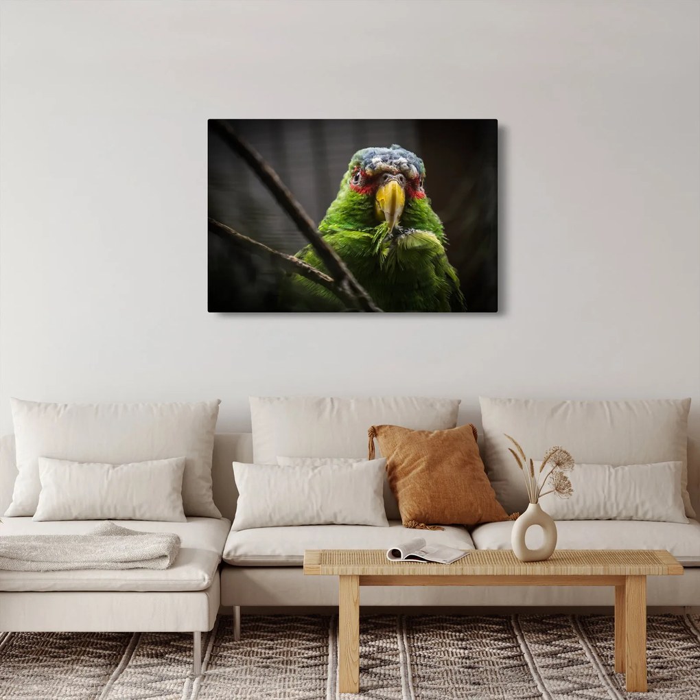Tablou cu papagal (90x60 cm)