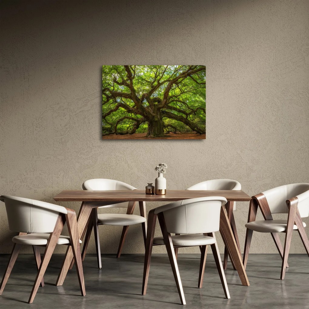 Tablou - Copac verde (70x50 cm)