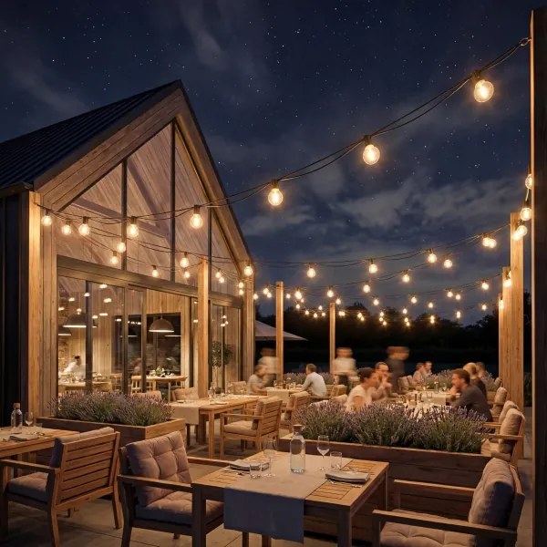 Ghirlandă decorativă LED reglabilă pentru exterior 36xE12/1W/24/230V 22,35 m IP65 neagră + telecomandă