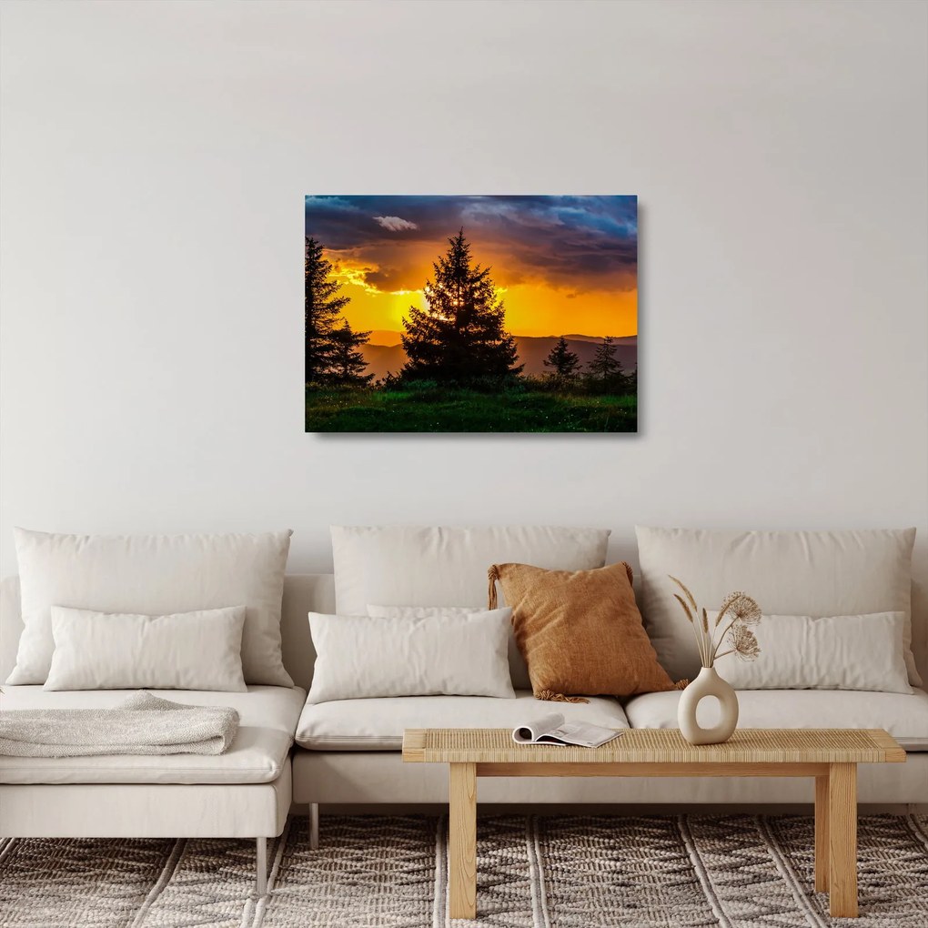 Tablou pe sticlă - coniferi (70x50 cm)
