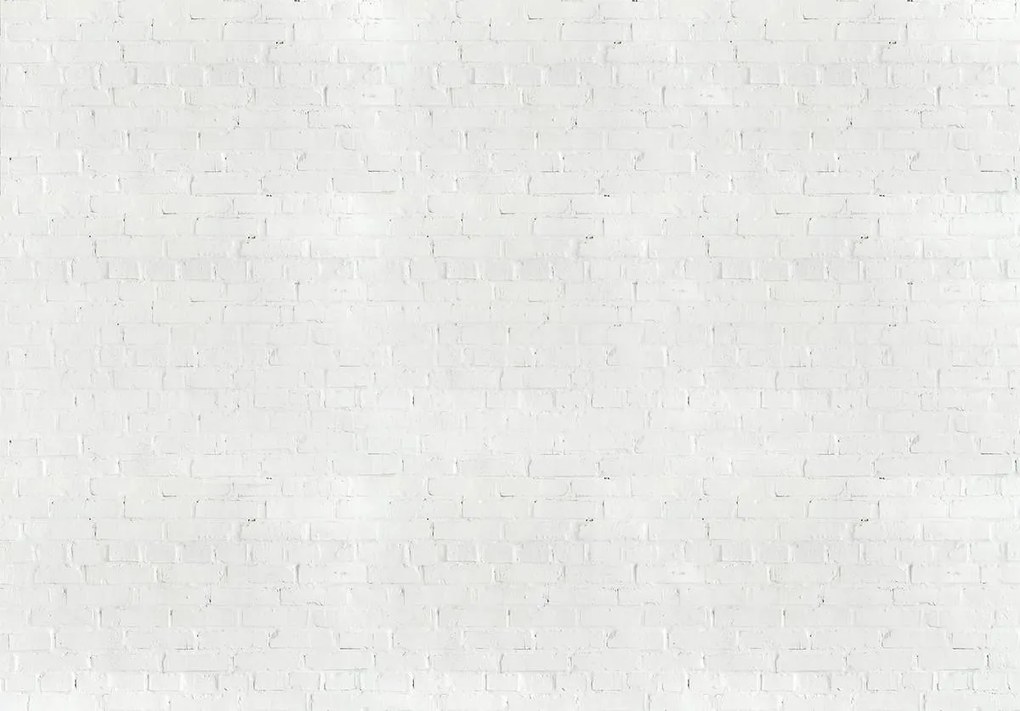 Fototapet - Cărămozi albe (152,5x104 cm)