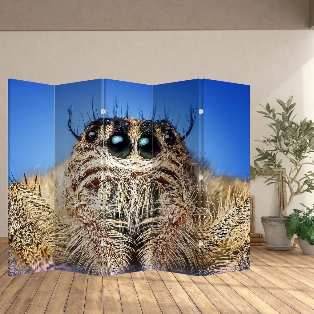 Paravan - Detalii a unui pâianjen (210x170 cm)