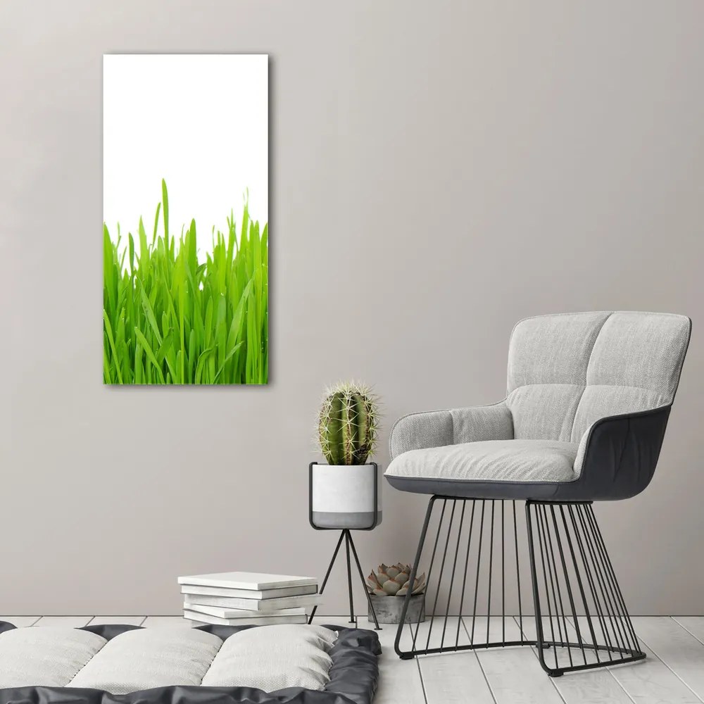 Imprimare tablou canvas Iarbă verde