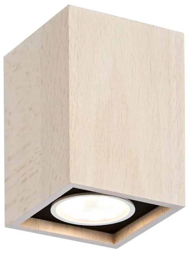 Spot Argon 3705 MONTREAL 1xGU10/5W/230V fag