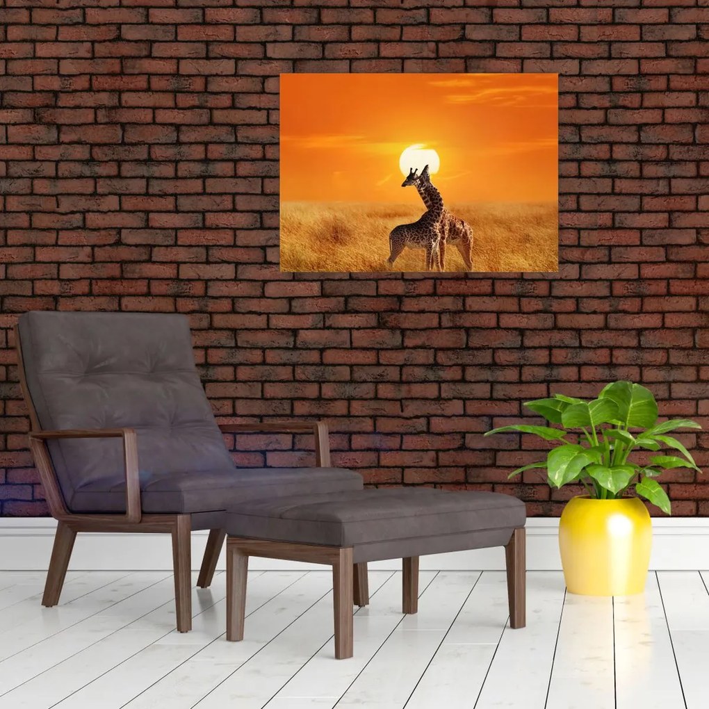 Tablou pe sticlă - Girafe în Parcul Național Serengeti (70x50 cm)