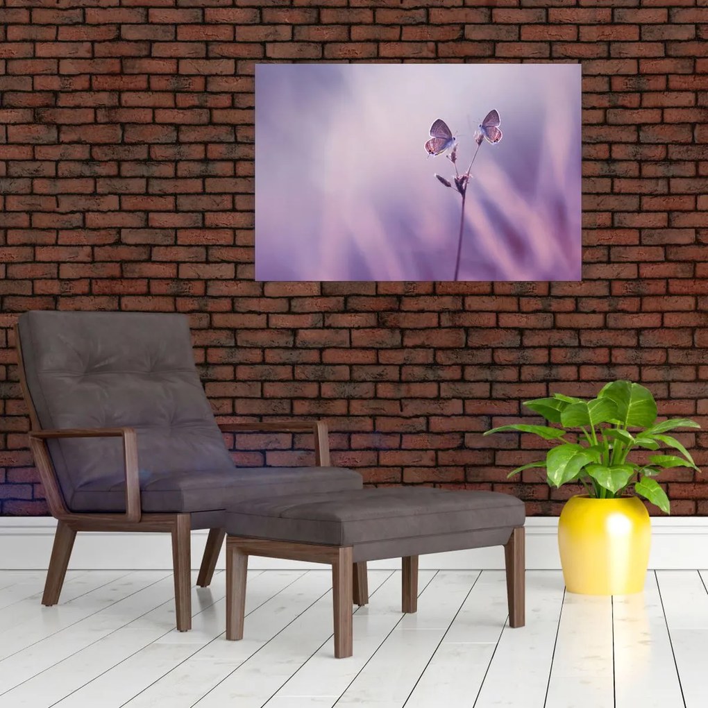 Tablou - Fluturi mov (90x60 cm)