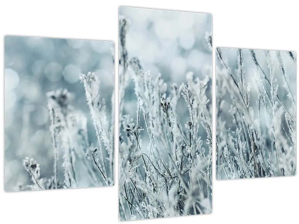 Tablou - Magia iernii (90x60 cm)