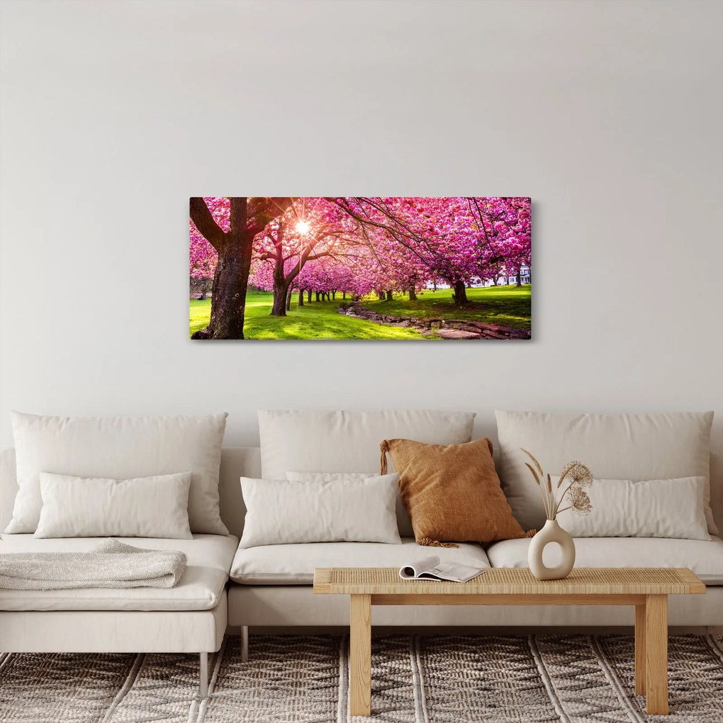 Tablou - Cireși înfloriți, Hurd Park, Dover, New Jersey (120x50 cm)