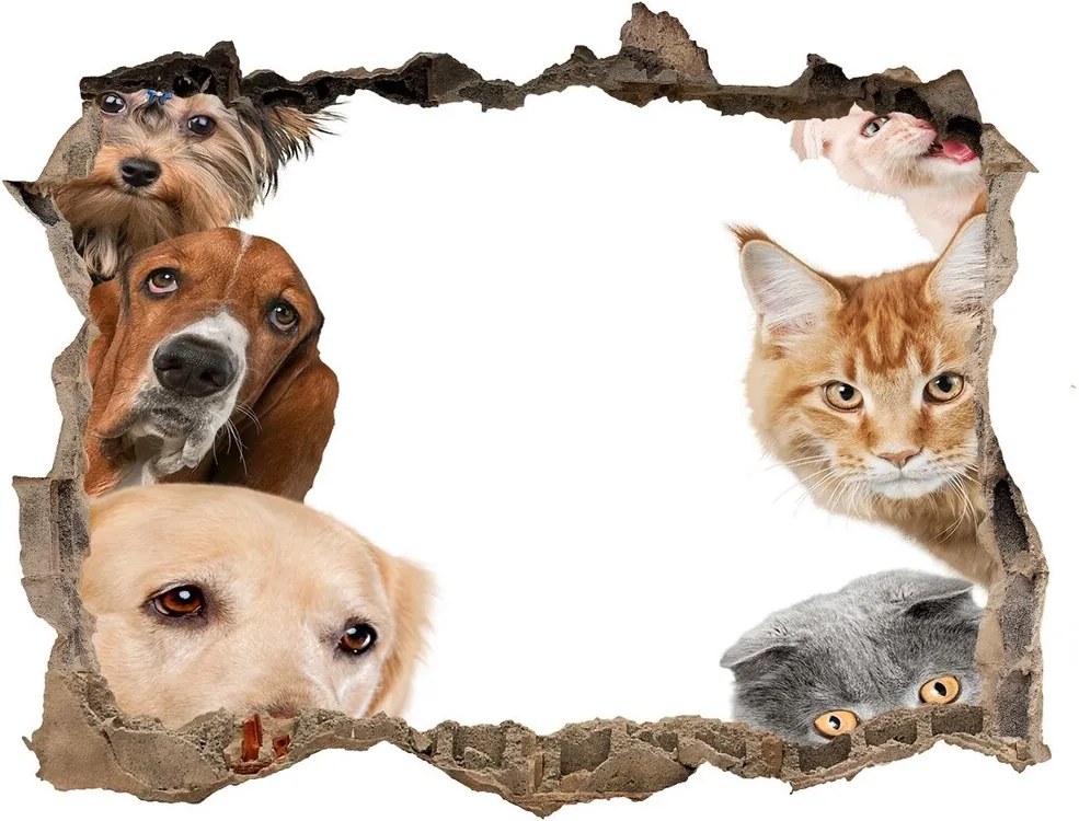 Autocolant 3D gaura cu priveliște Câini și pisici