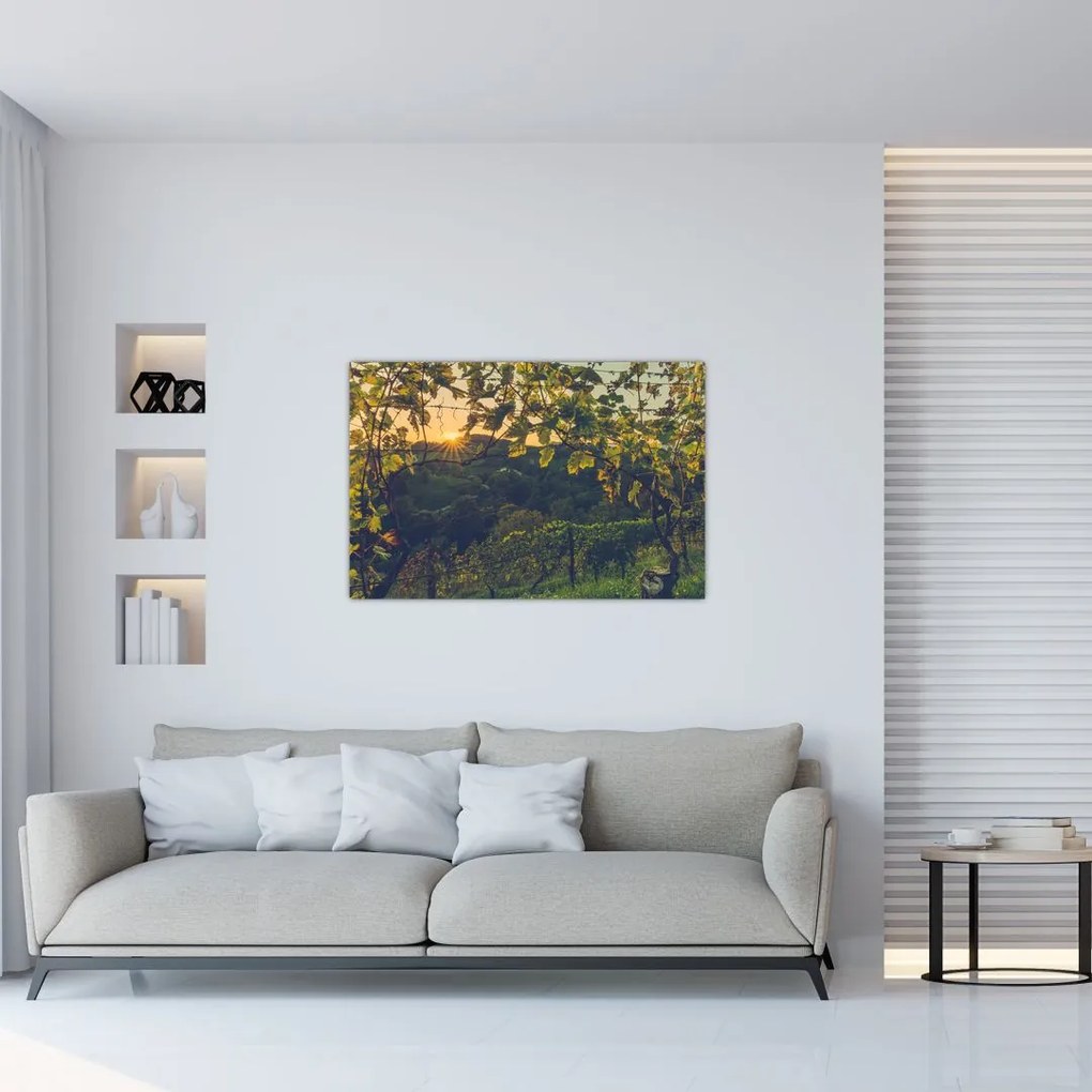 Tablou - Podgorii (90x60 cm)